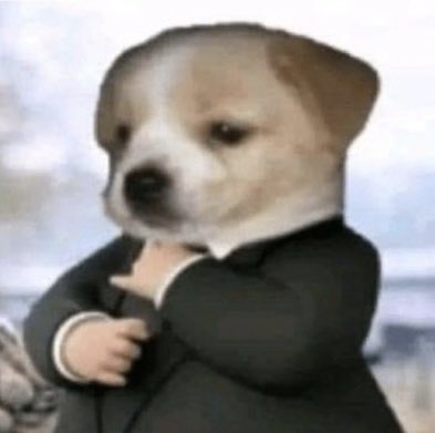 My Social media pfp